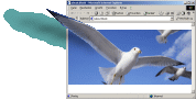 Webdesign Reference